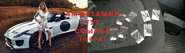тгк Инсар