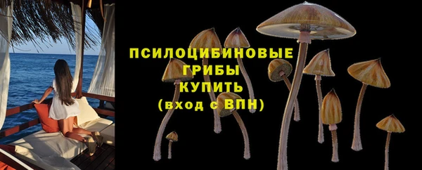 стафф Инта