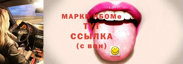 тгк Инсар