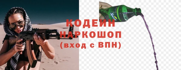 тгк Инсар