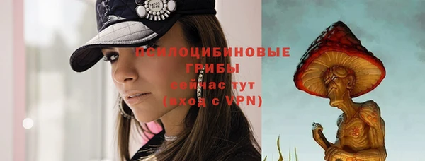 тгк Инсар