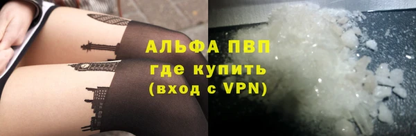 тгк Инсар
