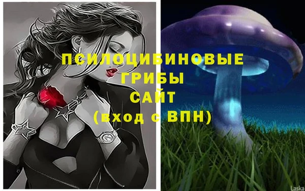 тгк Инсар