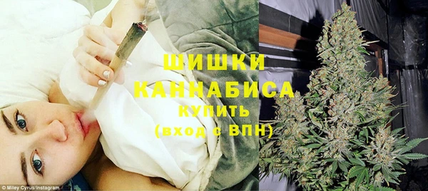 стафф Инта