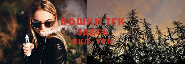 тгк Инсар