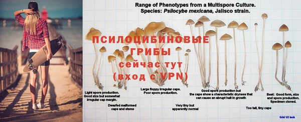 наркотики Иннополис