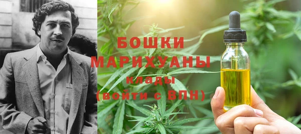 тгк Инсар