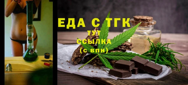 тгк Инсар
