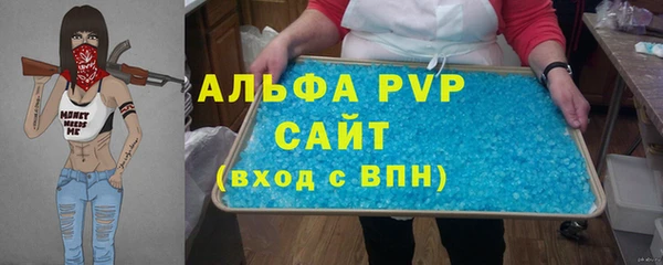 стафф Инта