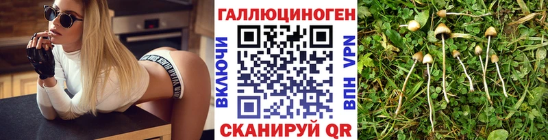 Галлюциногенные грибы Psilocybine cubensis  Купить  Клинцы 
